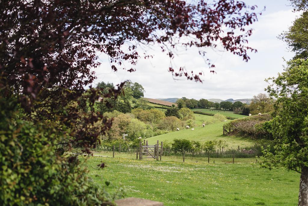Pwllgwilym B & B Builth Wells Eksteriør bilde