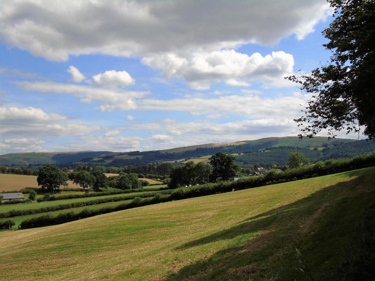Pwllgwilym B & B Builth Wells Eksteriør bilde