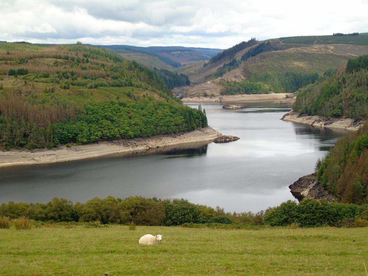 Pwllgwilym B & B Builth Wells Eksteriør bilde